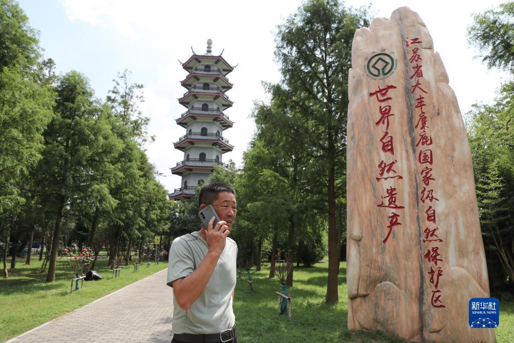 幸运双星玩法规则